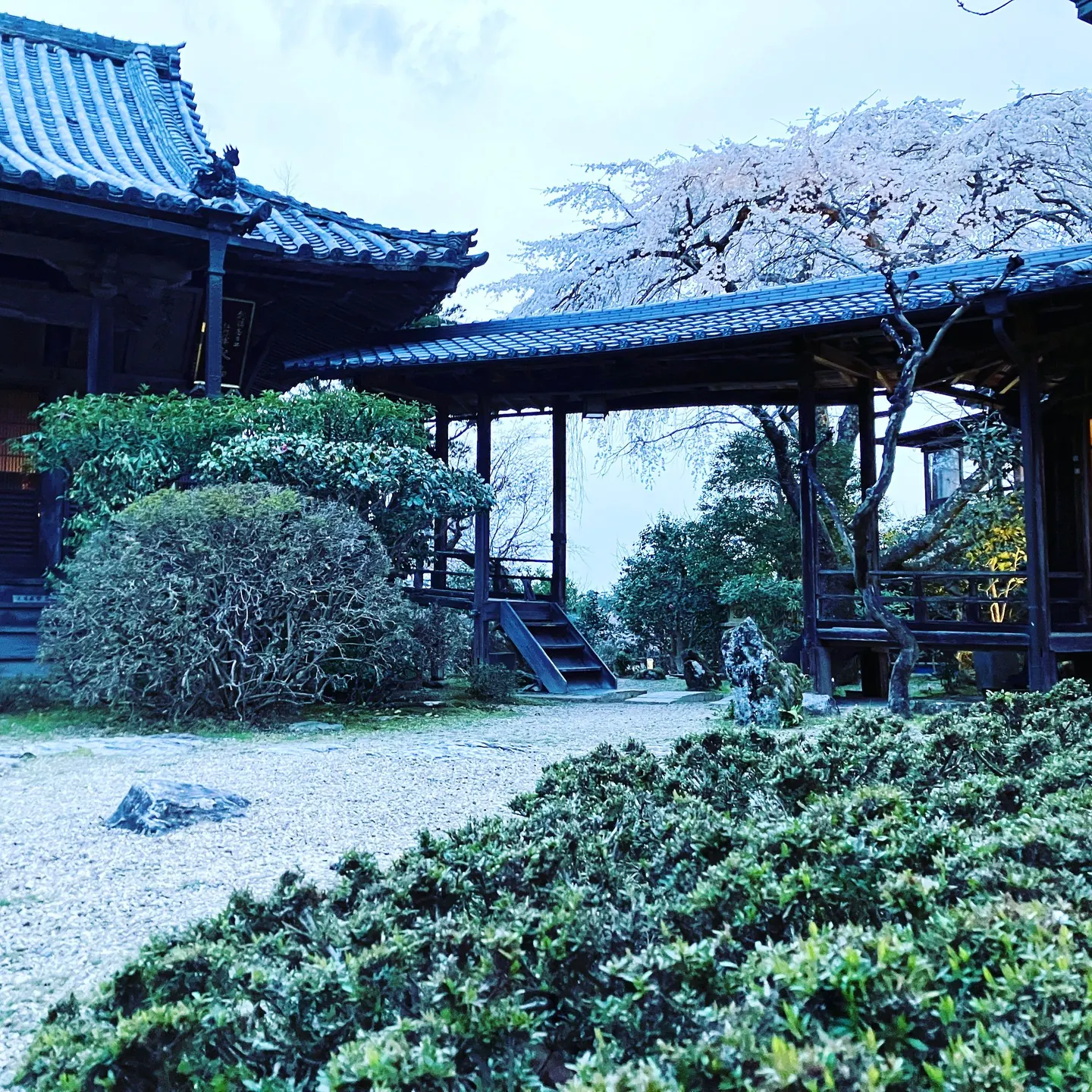 吉野山の季節の風景