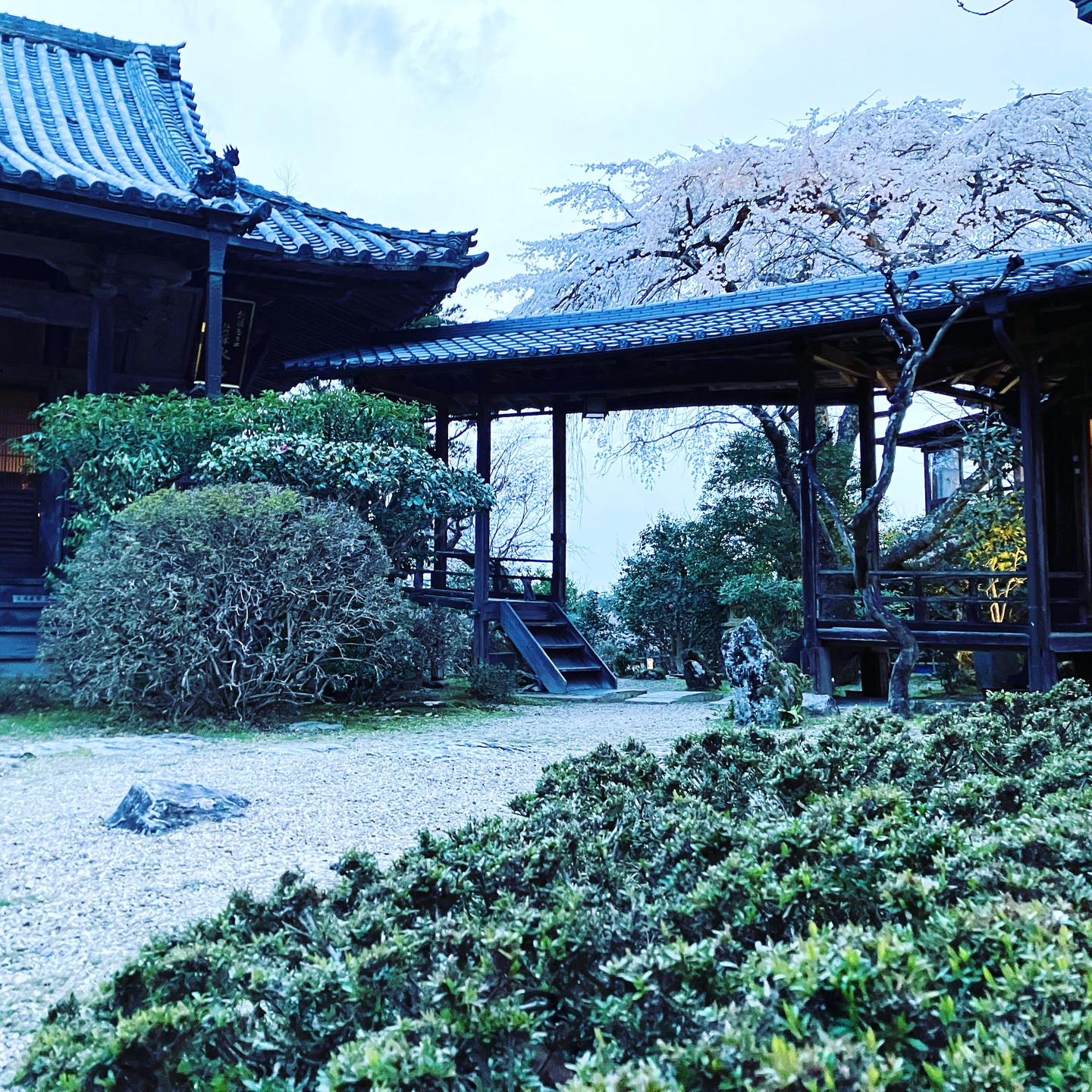 吉野山の季節の風景